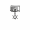 Kuzey Yıldızı Charm